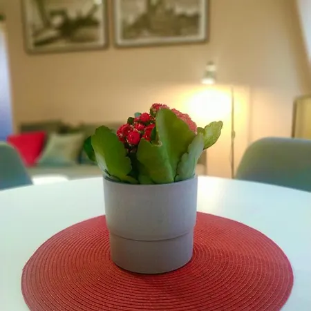 „kredka I Olowek” 弗罗茨瓦夫