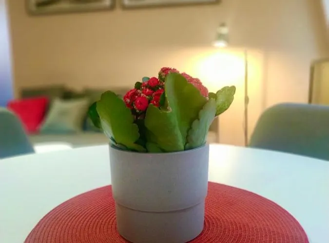 „kredka I Olowek” Wroclaw